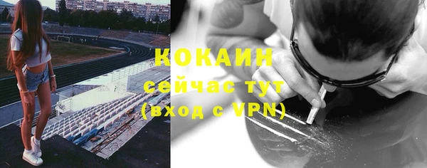 молекула духа Горно-Алтайск