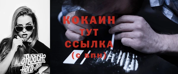 соль ск Вяземский